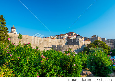 Dubrovnik city walls and Minceta tower, panoramic view of city. Green tress, palms and oleander flower. Beautiful ancient city and fortress, adriatic sea. Sunny summer day. Dubrovnik city walls and Minceta tower, panoramic view of city. Green tress, palms and oleander flower. Beautiful ancient city and fortress, adriatic sea. Sunny summer day. 136149925
