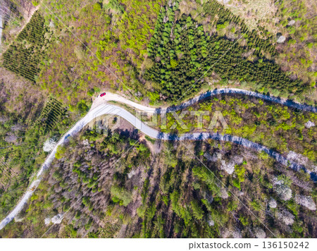 Aerial top down drone view of curve road in the forest. 136150242