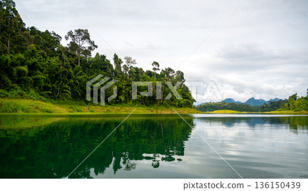 View of Khao Sok Lake in Krabi province, Thailand, with towering limestone cliffs covered in tropical rainforest rising above the calm surface of the lake. 136150439