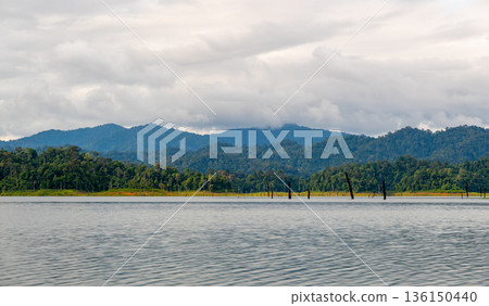 View of Khao Sok Lake in Krabi province, Thailand, with towering limestone cliffs covered in tropical rainforest rising above the calm surface of the lake. 136150440