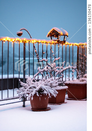 View of small roof garden with plants and wooden birdhouse feeder covered by christmas lights. Snow and cold weather during winter. Concept of ecology garden, bird feeding. Twilight colors, night. 136150478