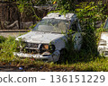 Old white abandoned van overgrown with wild green plants for environmental waste concept Old white abandoned van overgrown with wild green plants for environmental waste concept 136151229