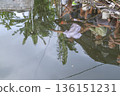 Reflection of people fishing in a pond with green foliage for outdoor leisure concept Reflection of people fishing in a pond with green foliage for outdoor leisure concept 136151231