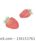 A soft, pale strawberry illustration 136151761