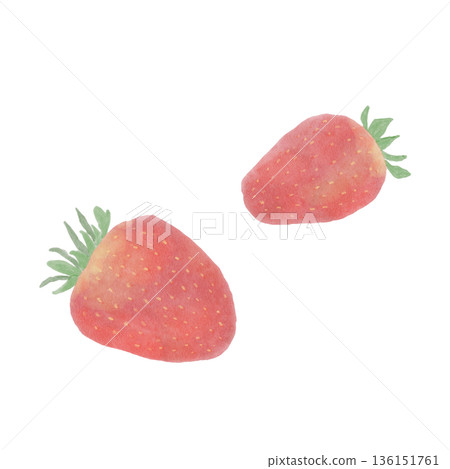 A soft, pale strawberry illustration A soft, pale strawberry illustration 136151761