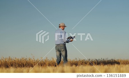 man wearing blue shirt jeans walking through field. He holding tablet hand, sustainable farming, Enhancing wheat yield with data-driven insights, Innovative farming tablet technology, Monitoring crop man wearing blue shirt jeans walking through field. He holding tablet hand, sustainable farming, Enhancing wheat yield with data-driven insights, Innovative farming tablet technology, Monitoring crop 136151889