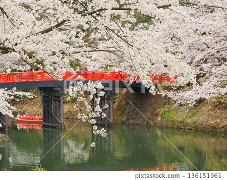 櫻花倒映在弘前城護城河中 | 水花交相輝映，美不勝收 136151961