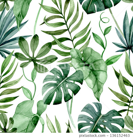 Seamless watercolor pattern with tropical palm and monstera leaves 136152463