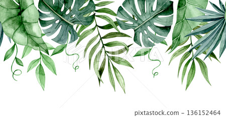 Seamless watercolor horizontal border with tropical palm and monstera leaves Seamless watercolor horizontal border with tropical palm and monstera leaves 136152464