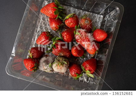 Strawberries rotting and growing mold inside a clear plastic package, illustrating concepts of spoilage, decay, and food waste 136152681