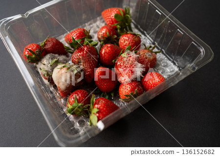 Strawberries rotting and growing mold inside a clear plastic package, illustrating concepts of spoilage, decay, and food waste 136152682