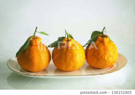 Dekopon ripened on the tree Dekopon ripened on the tree 136152805