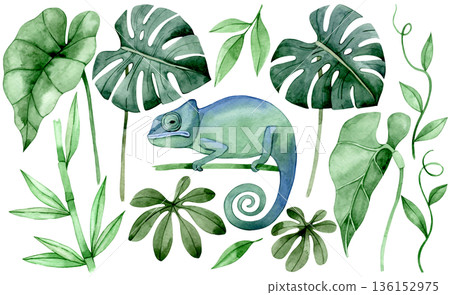 Watercolor set with tropical leaves and a chameleon lizard clip art Watercolor set with tropical leaves and a chameleon lizard clip art 136152975
