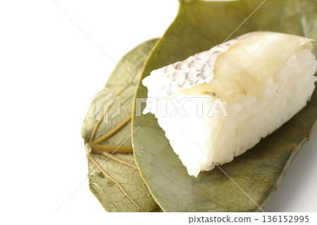 白色背景上的鯛魚柿葉壽司 136152995