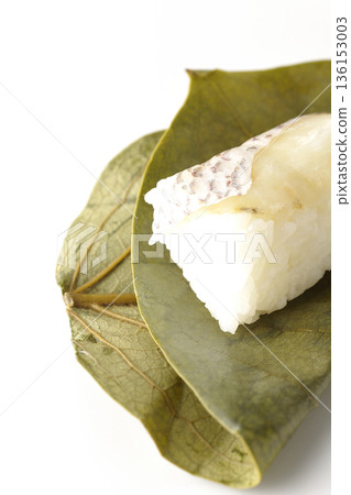 Sea bream persimmon leaf sushi photographed on white background 136153003