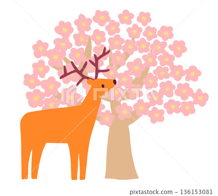 櫻花盛開，鹿群出沒。 136153081