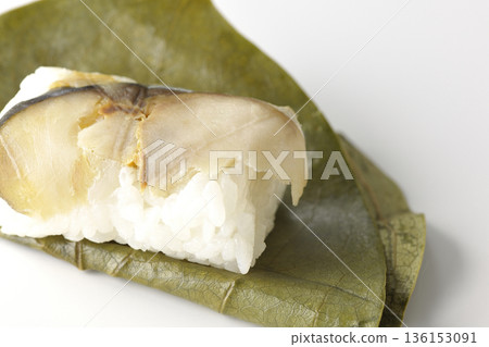 白色背景上的鯖魚柿葉壽司照片 136153091