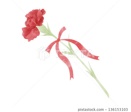Illustration of a red carnation with a ribbon Illustration of a red carnation with a ribbon 136153103
