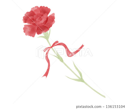 Illustration of a red carnation with a ribbon Illustration of a red carnation with a ribbon 136153104