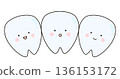 Teeth Dentistry Healthy Teeth 136153172