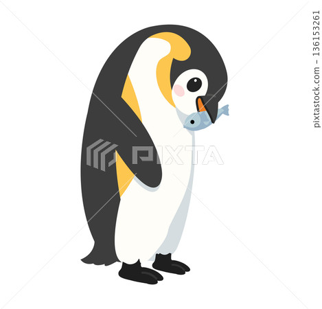 Penguin Holding a Fish Illustration 136153261
