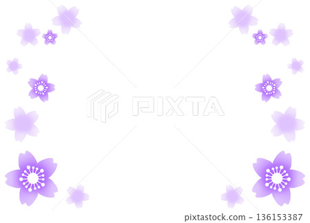 畫框周圍環繞著紫色的櫻花 136153387