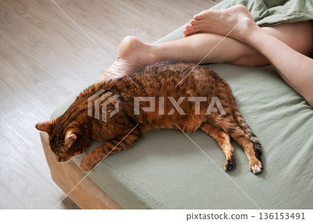 Brown tabby cat sleeping on bed next to mens feet. Brown tabby cat sleeping on bed next to mens feet. 136153491