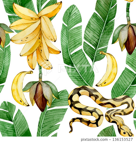Watercolor banana seamless pattern with tropical leaves, flowers and banana palm fruits. 136153527
