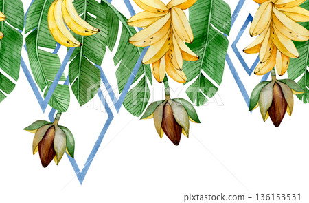 Watercolor seamless banana border with tropical leaves and banana palm fruits Watercolor seamless banana border with tropical leaves and banana palm fruits 136153531