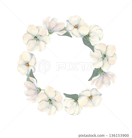 Delicate White Cosmos blooms wreath isolated. Hand painted round frame of flowers daisy with leaves in soft colors. Watercolor floral illustration for wedding stationary. Baby shower greeting cards. Delicate White Cosmos blooms wreath isolated. Hand painted round frame of flowers daisy with leaves in soft colors. Watercolor floral illustration for wedding stationary. Baby shower greeting cards. 136153900