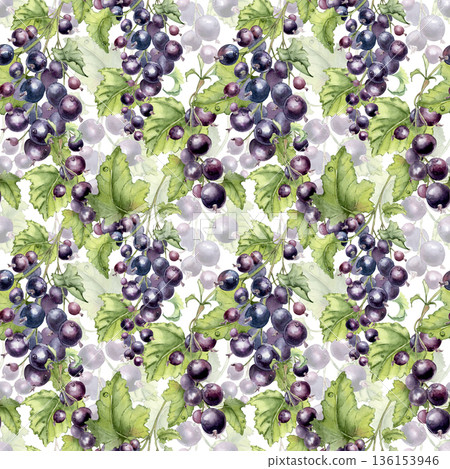 Botanical print with bright berries on branches hand painted. Black currant endless plant watercolor pattern isolated white. Berry and leaves seamless background for organic and healthy food design. Botanical print with bright berries on branches hand painted. Black currant endless plant watercolor pattern isolated white. Berry and leaves seamless background for organic and healthy food design. 136153946