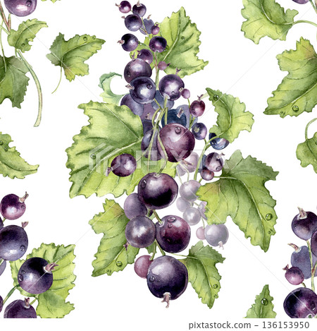 Berry branches vibrant summer print isolated on white. Watercolor seamless pattern with black currant shrubs and greenery with water drops hand painted. Botanical purple repeat for design textile. Berry branches vibrant summer print isolated on white. Watercolor seamless pattern with black currant shrubs and greenery with water drops hand painted. Botanical purple repeat for design textile. 136153950