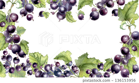 Black currant and foliage frame watercolor illustration isolated white background. Border of fresh ripe fruits with copy space for food packaging, recipe book, greeting card. Summer berry drawing. Black currant and foliage frame watercolor illustration isolated white background. Border of fresh ripe fruits with copy space for food packaging, recipe book, greeting card. Summer berry drawing. 136153956