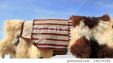 Handmade bags for storing bread and sheepskins against the sky. Turkmenistan. Ashkhabad market. Handmade bags for storing bread and sheepskins against the sky. Turkmenistan. Ashkhabad market. 136154388