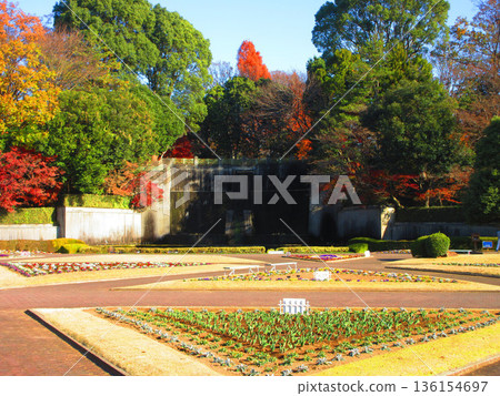 埼玉縣川口市綠色中心的各種景色 埼玉縣川口市綠色中心的各種景色 136154697