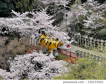 View of Daitora (the luckiest tiger in the world) from the main hall of Chogosonshiji Temple, Shigisan 136155081