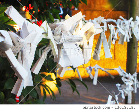 New Year's scenery at Kiyotaki Shrine in Urayasu City, Chiba Prefecture 136155183