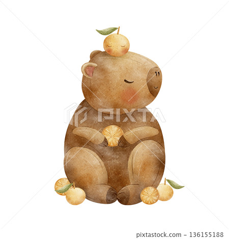 Capybara with fruits tangerines, oranges. Watercolor animal illustrations in childish cartoon style. Hand drawn isolated from background for card design invitations poster party packaging baby shower Capybara with fruits tangerines, oranges. Watercolor animal illustrations in childish cartoon style. Hand drawn isolated from background for card design invitations poster party packaging baby shower 136155188
