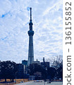 東京晴空塔和隅田公園 136155852