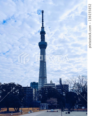 東京晴空塔和隅田公園 136155852