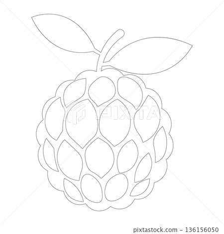 Line Art Custard Apple Fruit with Leaves Icon for Healthy Eating and Tropical Produce Line Art Custard Apple Fruit with Leaves Icon for Healthy Eating and Tropical Produce 136156050