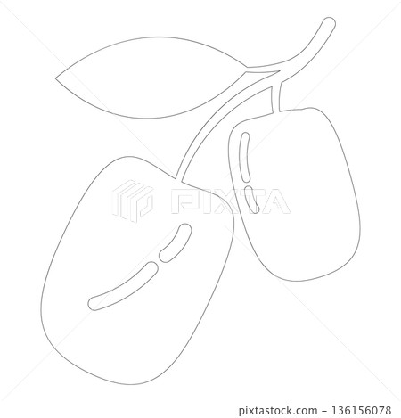 Outline Two Plum Fruits on Branch Icon for Healthy Food and Agricultural Designs 136156078