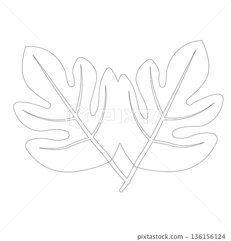 Clean Line Art Outline of Two Tropical Leaves for Botanical Illustrations and Nature-Themed Coloring 136156124