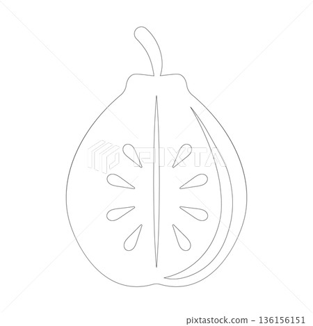Outline drawing of a halved guava with seeds on a white background 136156151