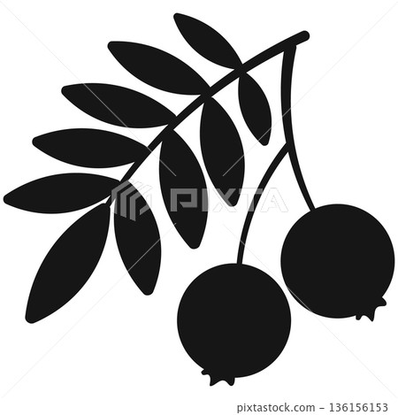 Simple Black Silhouette of Berries on a Branch with Leaves Icon for Autumn and Nature Themes 136156153