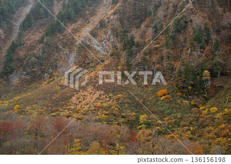 Beautiful autumn foliage around Shomyo Falls Beautiful autumn foliage around Shomyo Falls 136156198