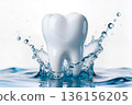 White tooth model with splashes of clean water on white background, concept of professional hygiene and deep cleaning. 136156205