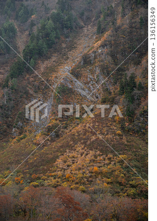 Beautiful autumn foliage around Shomyo Falls Beautiful autumn foliage around Shomyo Falls 136156349