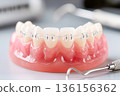Human jaw model with ceramic braces and dental instruments, orthodontic treatment concept. 136156362