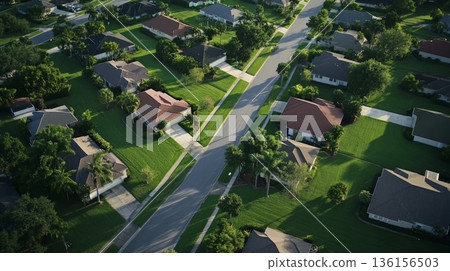 Capturing an aerial view of a residential district featuring charming houses, lush green lawns, and mature trees, creating a serene and inviting suburban landscape 136156503
